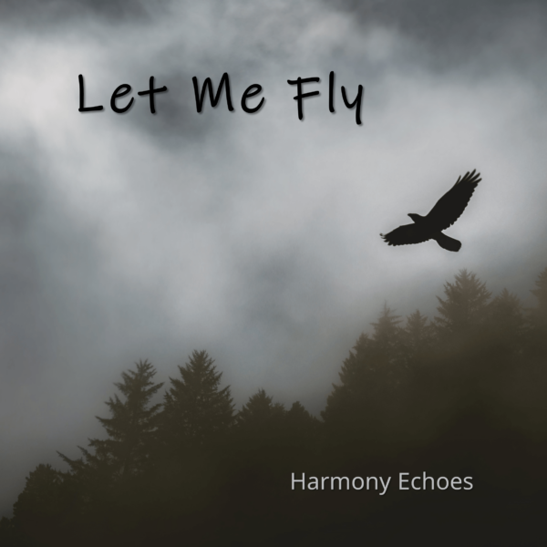 Let Me Fly album art